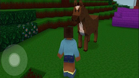 Block Craft 3D